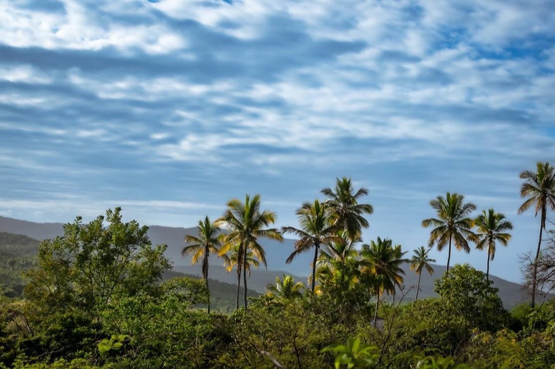 Belle-Anse, a village between tradition, nature and tourist potential