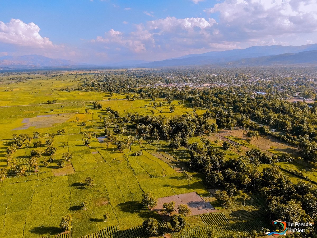 The Future of Agriculture in Haiti