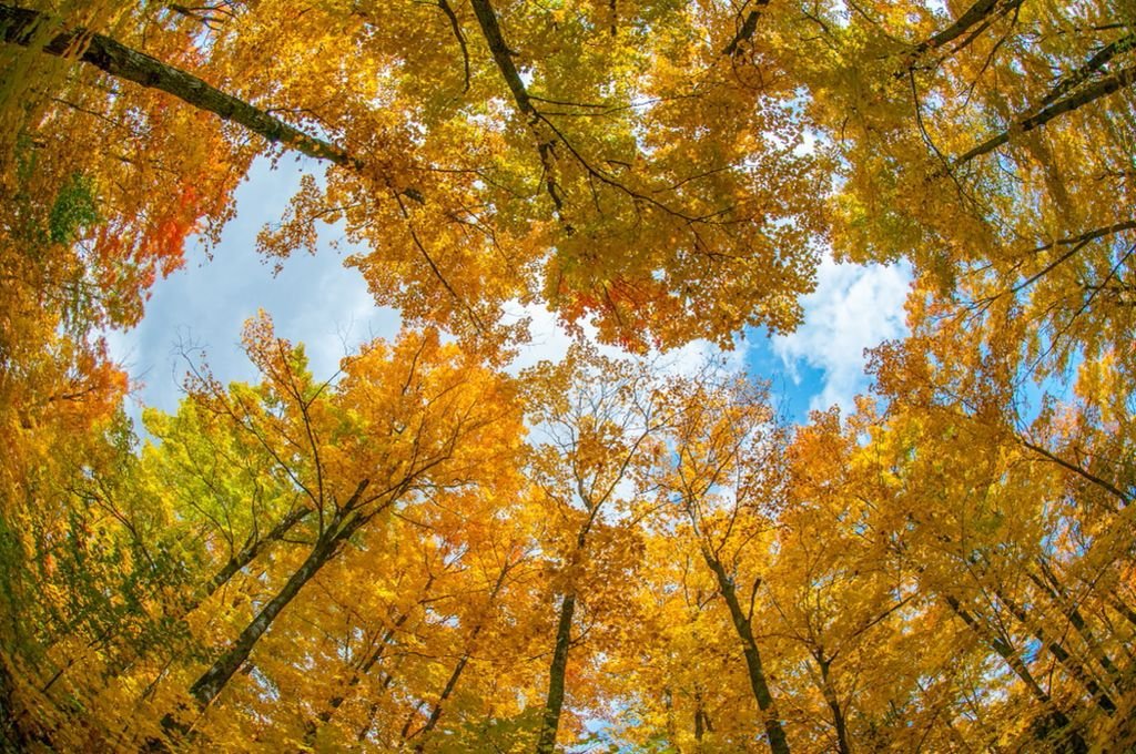 When do the 4 seasons begin in Haiti?