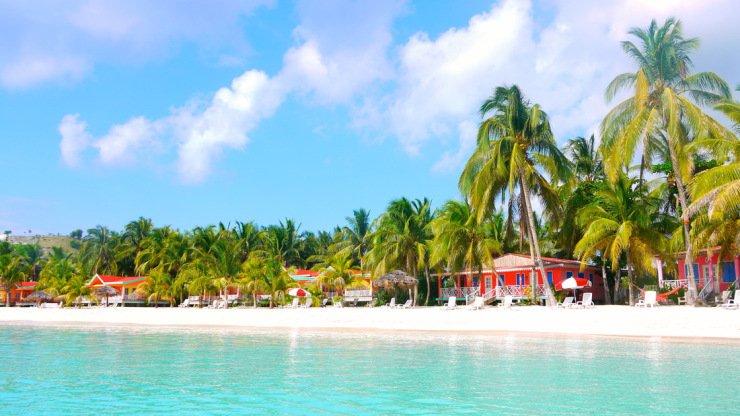 Hait : Gelee Hait : Gelee